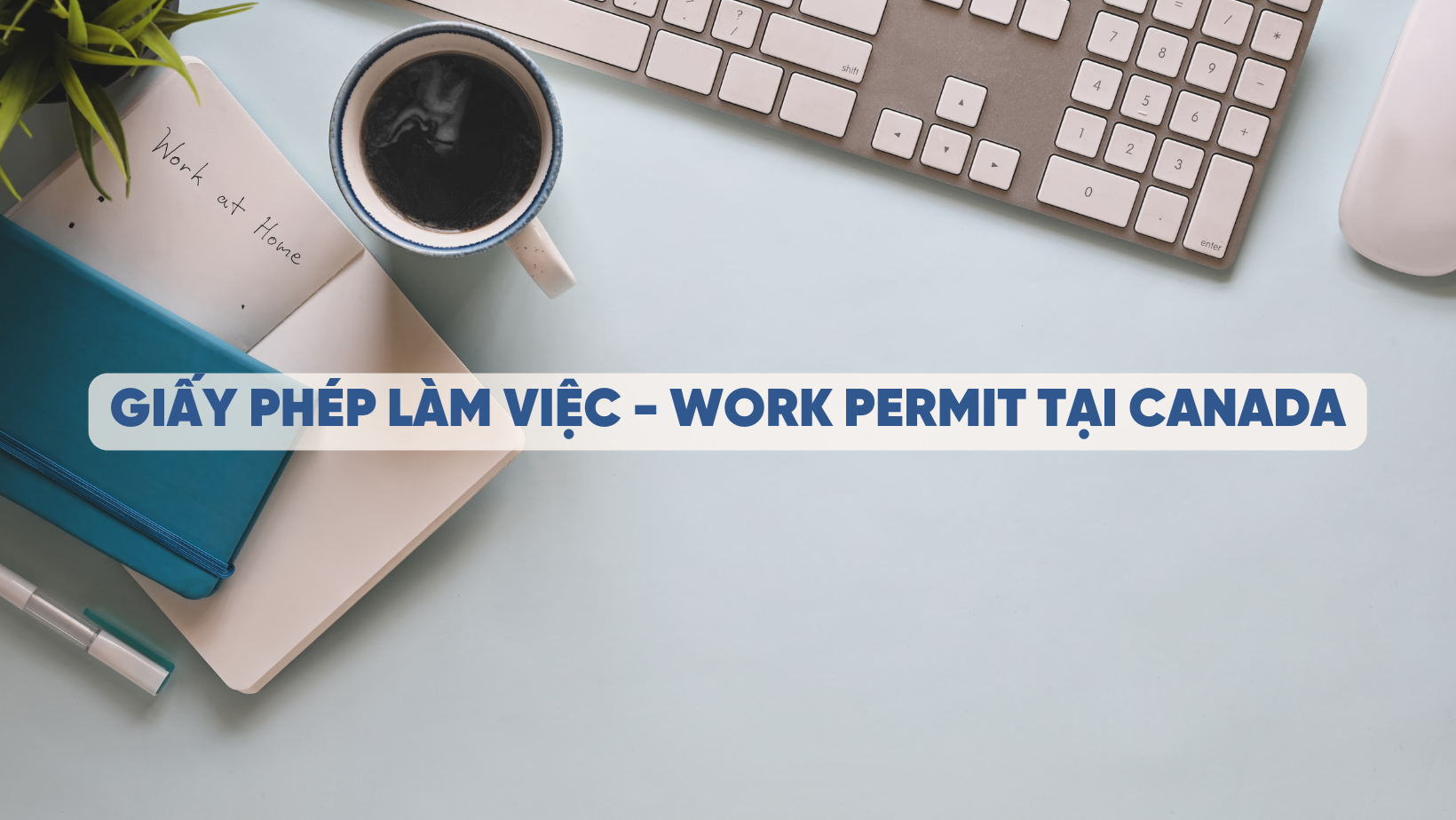 Giấy Phép Làm Việc - Work Permit